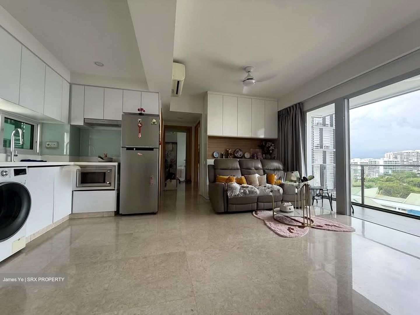 Eight Riversuites (D12), Condominium #546566181